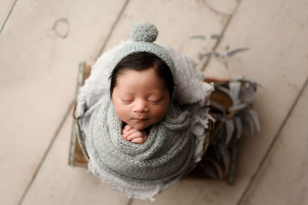 swaddled newborn photo of baby girl