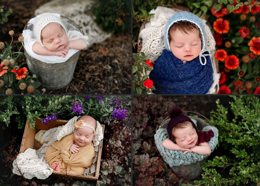 swaddled newborn photo of baby girl